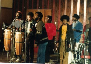 Keskidee in Aotearoa NZ